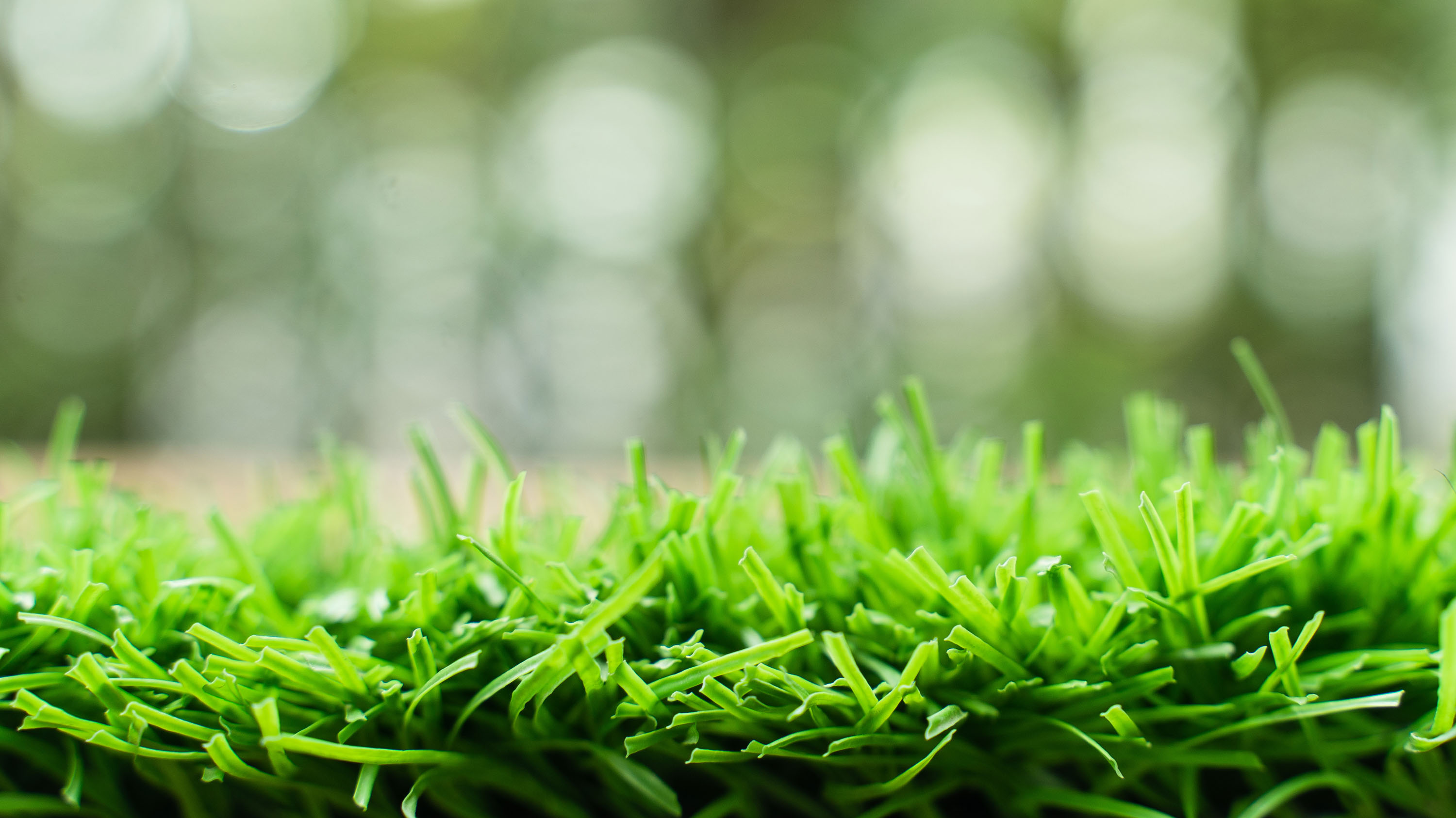 Close up of vibrant green artificial grass turf