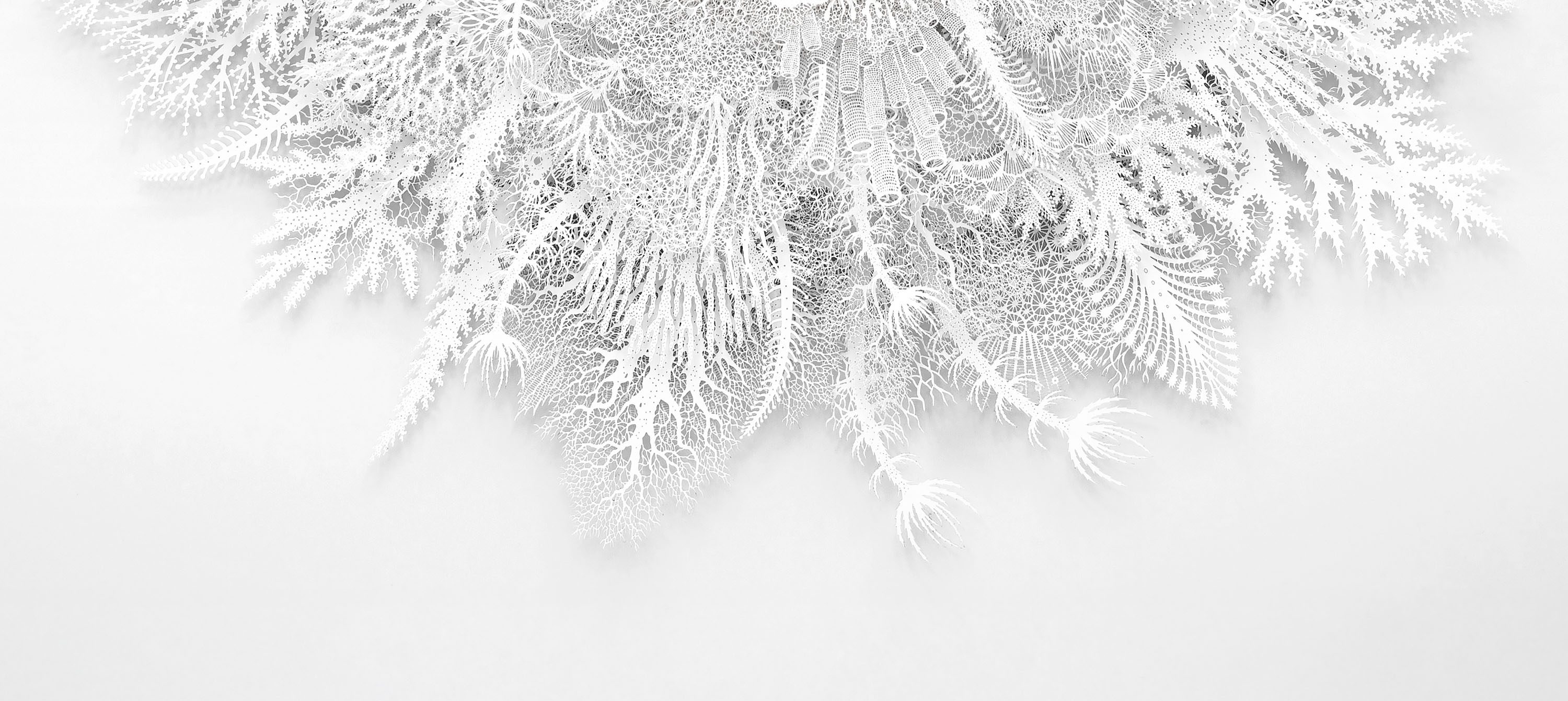 detail of a papercut artwork, entitled Ghost Coral